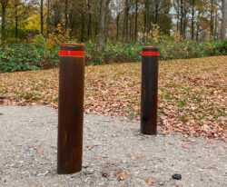 Cortenpullert på stien med røde reflekser