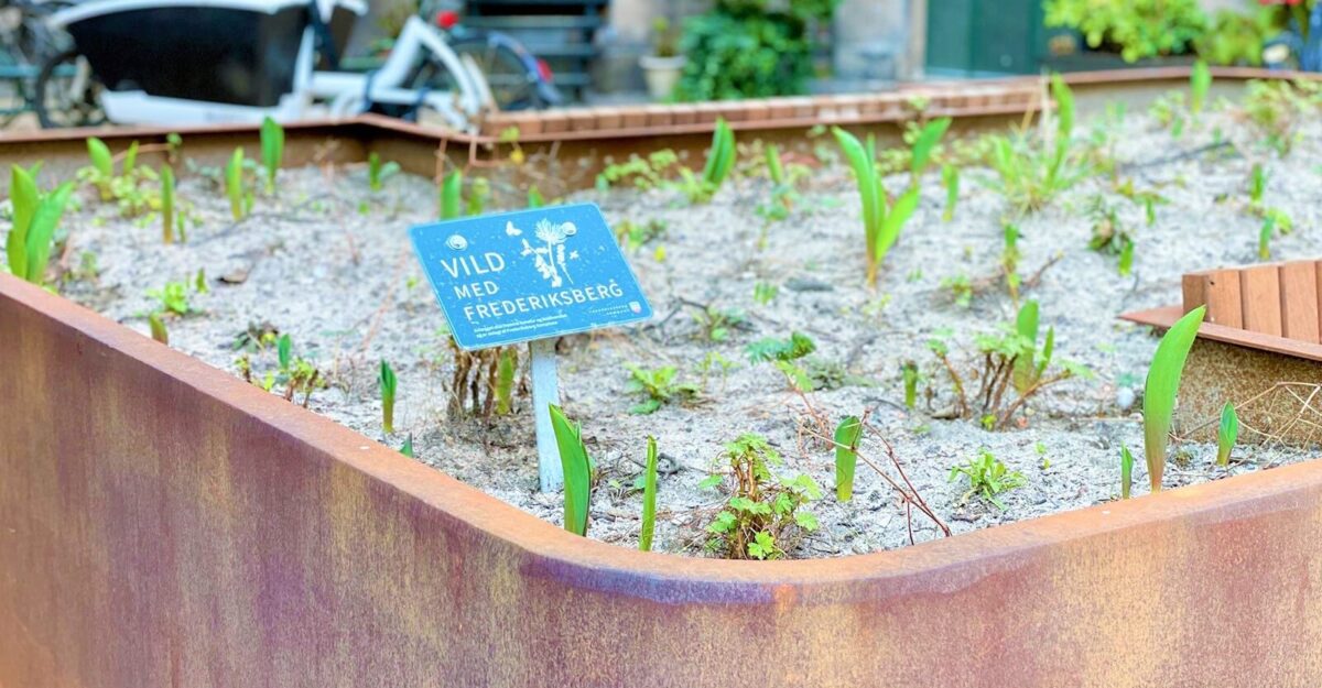 et skilt placeret i en unik plantekasse i cortenstål med en bænk af mahogni planker i Frederiksberg