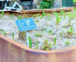 et skilt placeret i en unik plantekasse i cortenstål med en bænk af mahogni planker i Frederiksberg