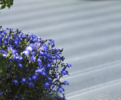 BY BANG plastplanker i genbrugsplast .Ideelt til terrasser, børnehaver og offentlige arealer