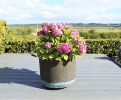 Terrassebelægning med genbrugsplast planker