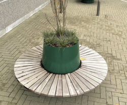 Alberi - en stor og høj plantekumme med en rund bænk