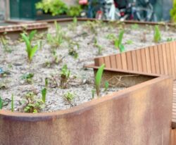 Plantekasser i cortenstål med indbyggede bænke og plads til planter, placeret på Frederiksberg