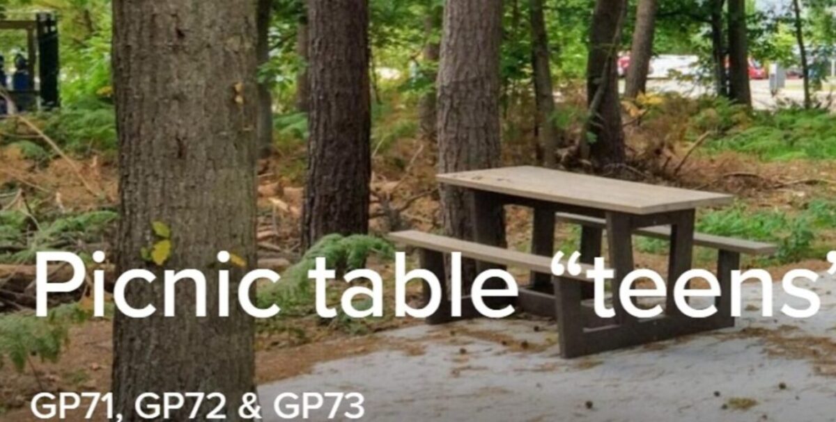 Holdbare picnic bordbænkesæt i genbrugsplast. Perfekte til skoler, institutioner og parker. Miljøvenlige og vedligeholdelsesfrie. Kontakt os